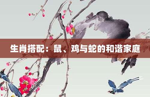 生肖搭配：鼠、鸡与蛇的和谐家庭