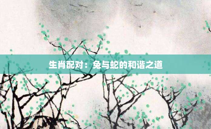 生肖配对：兔与蛇的和谐之道