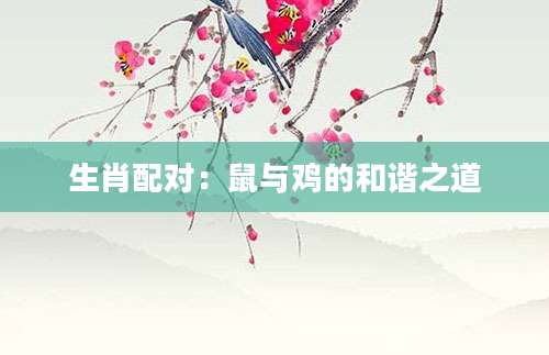 生肖配对：鼠与鸡的和谐之道