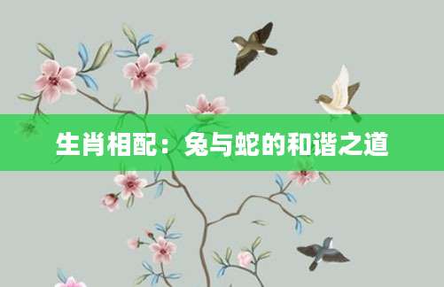 生肖相配：兔与蛇的和谐之道