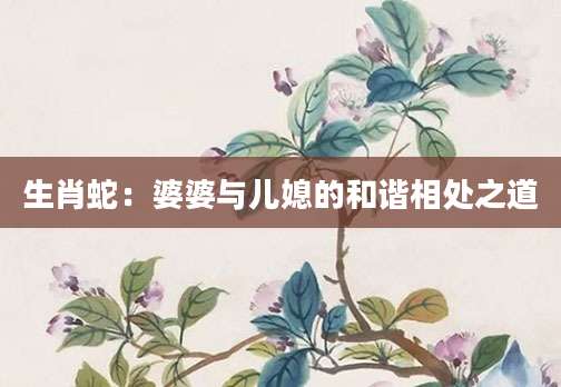生肖蛇：婆婆与儿媳的和谐相处之道