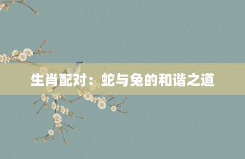 生肖配对：蛇与兔的和谐之道