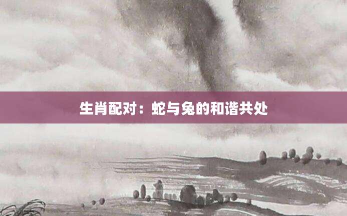 生肖配对：蛇与兔的和谐共处