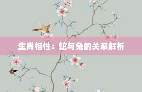 生肖相性：蛇与兔的关系解析