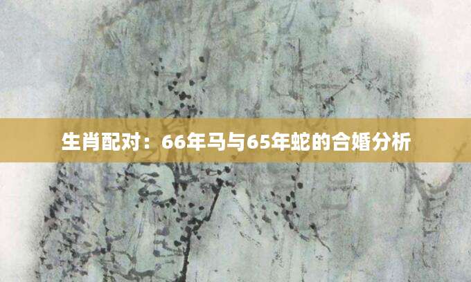 生肖配对：66年马与65年蛇的合婚分析
