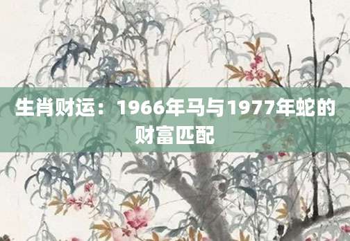 生肖财运：1966年马与1977年蛇的财富匹配