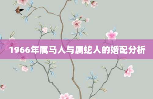 1966年属马人与属蛇人的婚配分析