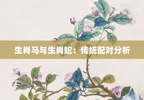 生肖马与生肖蛇：传统配对分析