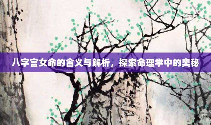 八字宫女命的含义与解析，探索命理学中的奥秘