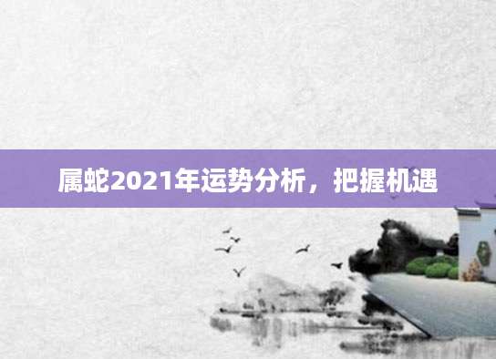 属蛇2021年运势分析，把握机遇