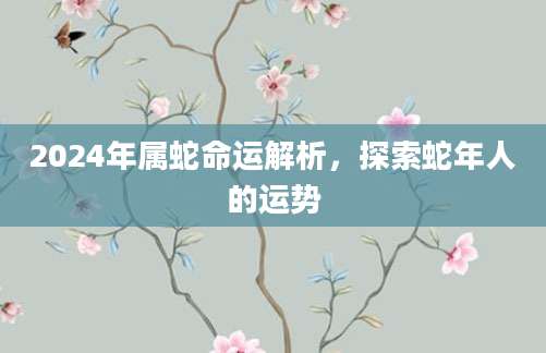 2024年属蛇命运解析，探索蛇年人的运势