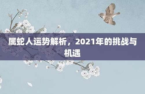 属蛇人运势解析，2021年的挑战与机遇